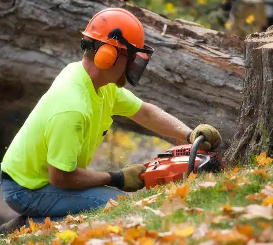 tree services Seaside Park